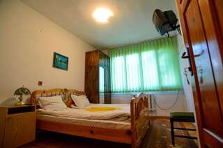 Гостевой дом Topuzovi Guest House Добриниште Двухместный номер с 1 кроватью или 2 отдельными кроватями-3