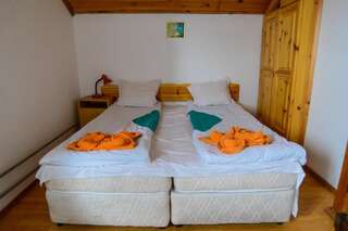 Гостевой дом Topuzovi Guest House Добриниште Двухместный номер с 1 кроватью или 2 отдельными кроватями-25